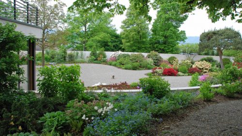 neu_10_Rhododendren-Kieshof-Gartengestaltung